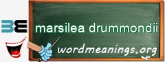 WordMeaning blackboard for marsilea drummondii